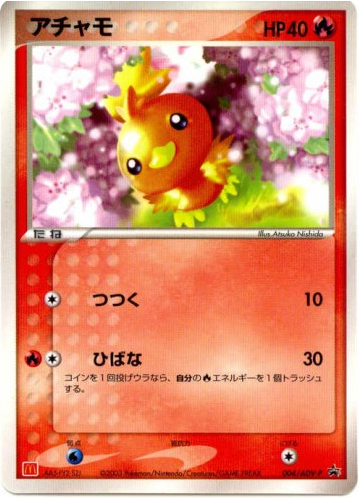 Torchic