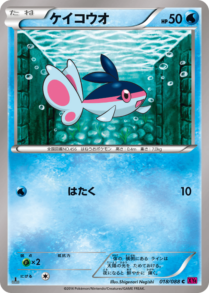 ケイコウオ